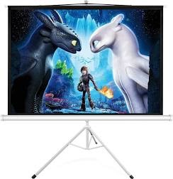Projector Screen 120" Pull Down with Stand